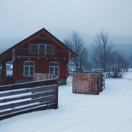 Садиба Свидюків Staryy Mizun Exterior photo