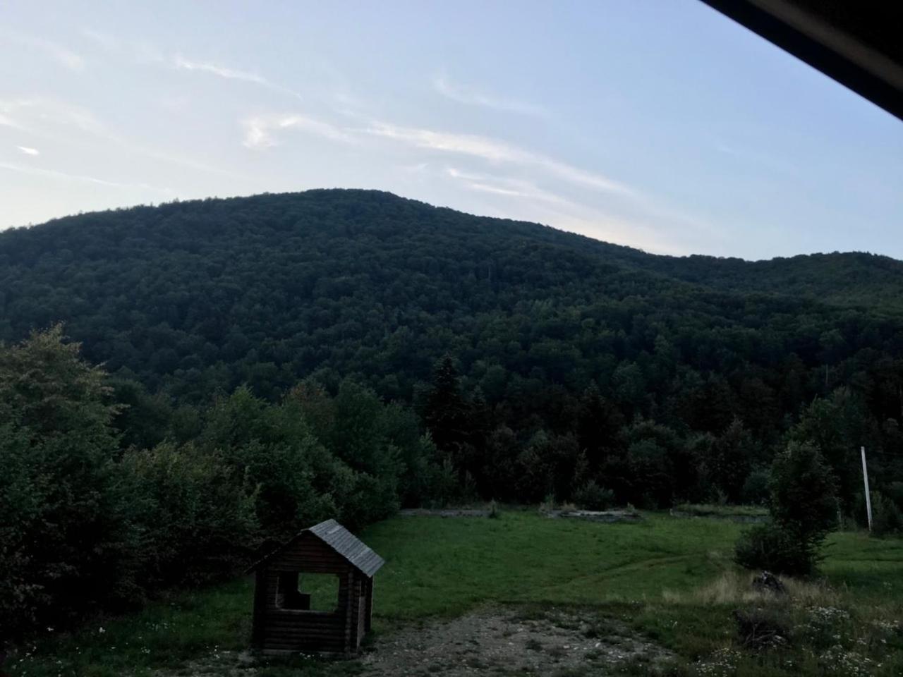 свидюків 度假居 Staryy Mizun